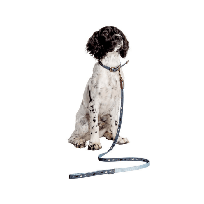 Danish Designs - FatFace - Marching Dog Collar Danish Designs