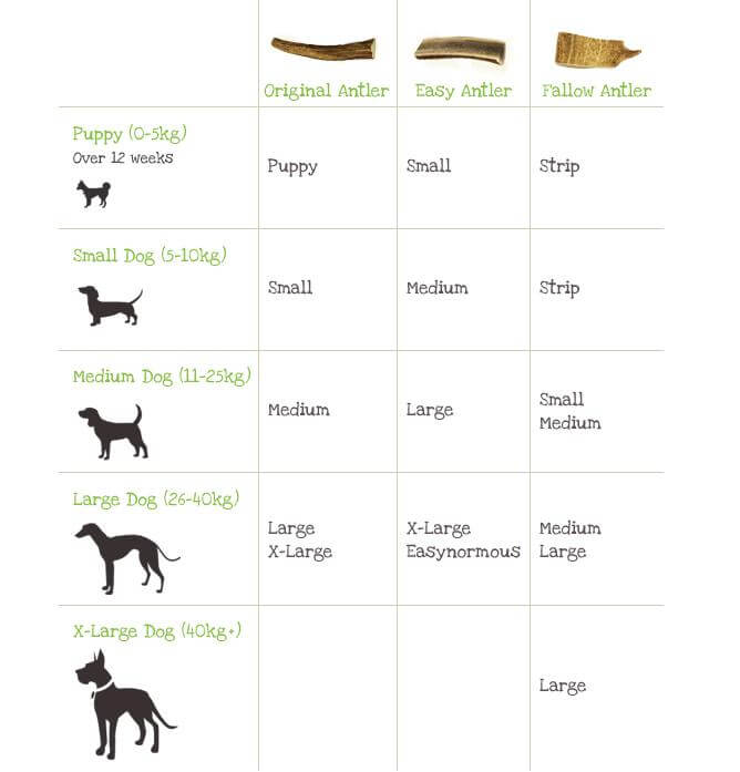 Green & Wilds Premium Fallow Antler Chews Dog Treats Green & Wilds