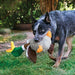 Kong Shaker Honker Large Turkey Dog Toys KONG